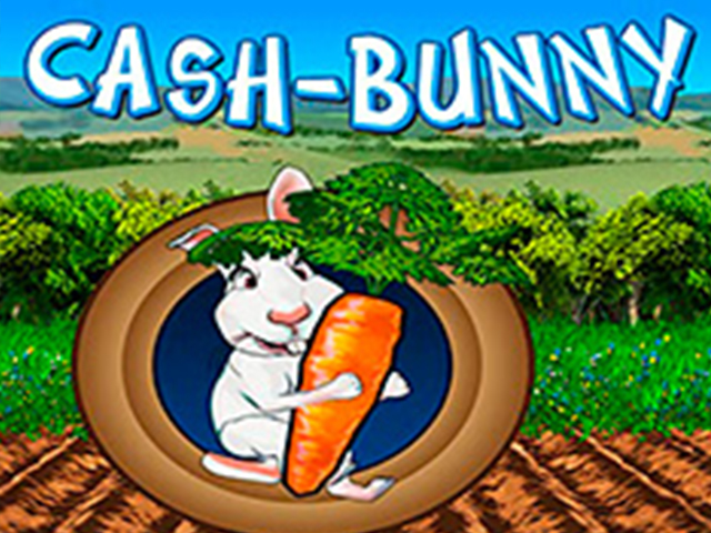 wmg | Cash Bunny